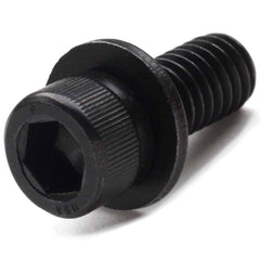 Hex Socket Cap Screw: #10-32 Thread, 3/4" Length Under Head, Alloy Steel, Black Oxide Finish