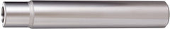 Replaceable Tip Milling Shank: Series 78019, 20 mm Projection, 20 mm Straight Shank