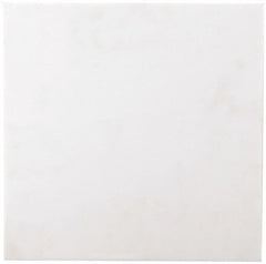 Plastic Sheet: PET, 3/4" Thick, 24" Wide, 4' Long, White