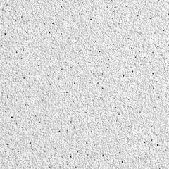 Ceiling Tiles; Color: White; Material: Wet-Formed Mineral Fiber; Length (Inch): 24; Width: 24; Grid Size (Inch): 15/16; Edge Type: Angle, Tegular; Texture: Fine; Noise Reduction Coefficient Rating: 0.50