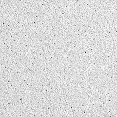 Ceiling Tiles; Color: White; Material: Wet-Formed Mineral Fiber; Length (Inch): 24; Width: 24; Grid Size (Inch): 9/16; Edge Type: Tegular, Beveled; Texture: Fine; Noise Reduction Coefficient Rating: 0.50