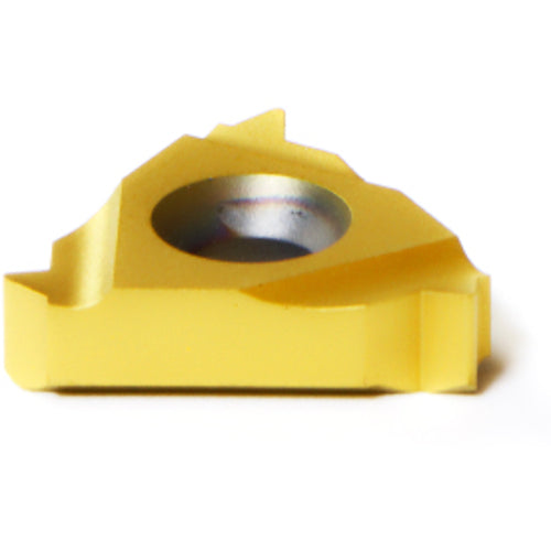 16 IL 2.0 ISO MXC THREADING INSERT - Makers Industrial Supply