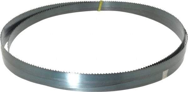 Starrett - 6 TPI, 10' Long x 3/4" Wide x 0.032" Thick, Welded Band Saw Blade - Carbon Steel, Toothed Edge, Raker Tooth Set, Flexible Back, Contour Cutting - Makers Industrial Supply