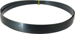 Starrett - 14 TPI, 9' 7" Long x 3/4" Wide x 0.032" Thick, Welded Band Saw Blade - Carbon Steel, Toothed Edge, Raker Tooth Set, Flexible Back, Contour Cutting - Makers Industrial Supply