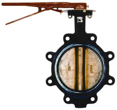 Legend Valve - 5" Pipe, Lug Butterfly Valve - Gear Handle, Cast Iron Body, Buna-N Seat, 200 WOG, Aluminum Bronze Disc, Stainless Steel Stem - Makers Industrial Supply