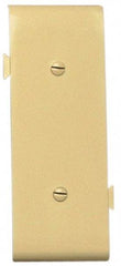 Pass & Seymour - 1 Gang, 4.9062 Inch Long x 1-13/16 Inch Wide, Blank Wall Plate - Blank, Ivory, Nylon - Makers Industrial Supply