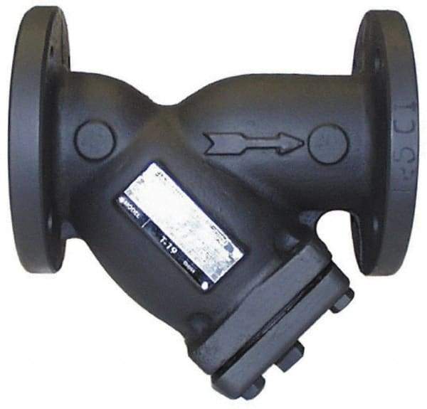 Legend Valve - 2-1/2" Pipe, Flanged Ends, Cast Iron Y-Strainer - 200 psi WOG Rating, 150 psi WSP Rating - Makers Industrial Supply