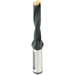 Iscar - 11 to 11.4mm Diam, 3xD, 33mm Max Depth, 16mm Shank Diam, 96.1mm OAL, Replaceable Tip Drill - IDI-SG, IDI-SK Insert, 11 Seat Size, DCM Toolholder, Series ChamDrill - Makers Industrial Supply