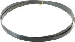 Starrett - 6 TPI, 14' Long x 1" Wide x 0.035" Thick, Welded Band Saw Blade - Carbon Steel, Toothed Edge, Raker Tooth Set, Flexible Back, Contour Cutting - Makers Industrial Supply