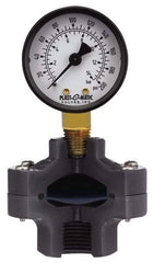 Plast-O-Matic - 30 Max Hg 2 Inch Dial Diameter, PVC Pressure Gauge Guard and Isolator - 3% Accuracy - Makers Industrial Supply