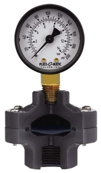 Plast-O-Matic - 200 Max psi, 2 Inch Dial Diameter, PVC Pressure Gauge Guard and Isolator - 3% Accuracy - Makers Industrial Supply