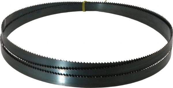 Starrett - 6 TPI, 9' Long x 3/4" Wide x 0.032" Thick, Welded Band Saw Blade - Carbon Steel, Toothed Edge, Raker Tooth Set, Flexible Back, Contour Cutting - Makers Industrial Supply