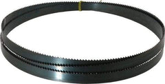 Starrett - 6 TPI, 9' Long x 3/4" Wide x 0.032" Thick, Welded Band Saw Blade - Carbon Steel, Toothed Edge, Raker Tooth Set, Flexible Back, Contour Cutting - Makers Industrial Supply