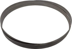 Starrett - 10 to 14 TPI, 12' Long x 1" Wide x 0.035" Thick, Welded Band Saw Blade - Bi-Metal, Toothed Edge, Raker Tooth Set, Contour Cutting - Makers Industrial Supply