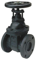 Legend Valve - 8" Pipe, Class 125, Flanged Cast Iron Solid Wedge OS & Y Gate Valve - 200 WOG, 125 WSP, Bolted Bonnet - Makers Industrial Supply