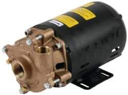 Pentair - 208-230/460 Volt, 3/4 hp, 1-1/4 Inlet, 72 GPM Bronze Utility Pump - 55 Max Head Pressure, 1 Inch Outlet - Makers Industrial Supply