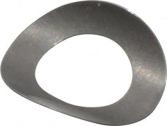 Gardner Spring - #5 Bolt, 0.135" ID, Grade 301 Stainless Steel, Curved Disc Spring - 0.245" OD, 0.049" High, 0.004" Thick - Makers Industrial Supply