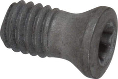 Seco - Torx Plus Lock Screw for Indexables - Makers Industrial Supply