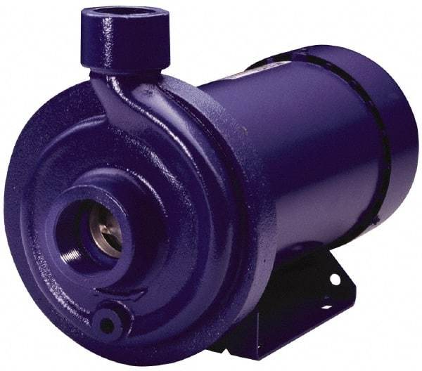 Goulds Pumps - ODP Motor, 208-230/460 Volt, 4.0/2.0 Amp, 3 Phase, 1 HP, 3500 RPM, Cast Iron Straight Pump - 1-1/4 Inch Inlet, 1 Inch Outlet, 44 Max Head psi, 316L Stainless Steel Impeller, Carbon Ceramic Buna Seal, 102 Ft. Shut Off - Makers Industrial Supply