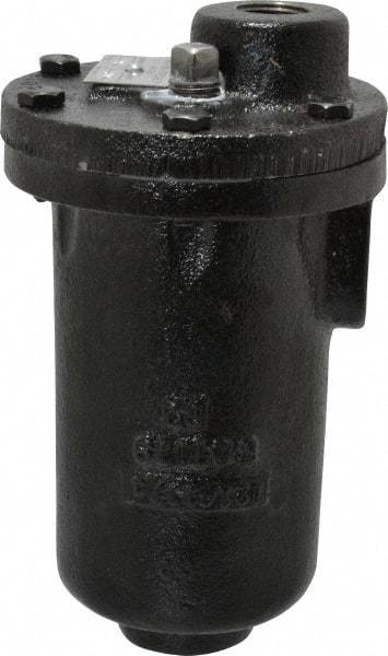 Hoffman Speciality - 3/4" NPT Inlet, 1/2" NPT Outlet, 250 Max psi, Cast Iron Water Vent - 350 Max Hydrostatic psi, 300°F Max - Makers Industrial Supply