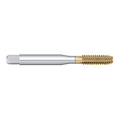 Titan USA - Thread Forming Taps; Thread Size (Inch): 1/4-28 ; Class of Fit: 2B/3B ; Thread Limit: H4 ; Chamfer: Plug ; Finish/Coating: TiN ; Material: High Speed Steel - Exact Industrial Supply