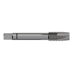 Spiral Point Tap: M4 x 0.7, Metric Coarse, 3 Flutes, Plug, 6H, Powdered Metal, Steam Oxide Finish 29/64″ Thread Length, 2-1/8″ OAL, Right Hand, D4, Series 712