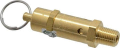 Kingston - 1/4" Inlet, ASME Safety Relief Valve - 50 Max psi, Brass - Makers Industrial Supply