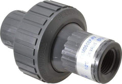 Plast-O-Matic - 1/2" PVC Check Valve - Inline, FNPT x FNPT, 150 WOG - Makers Industrial Supply