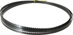 Starrett - 4 TPI, 19' 6" Long x 3/8" Wide x 0.025" Thick, Welded Band Saw Blade - Carbon Steel, Toothed Edge, Raker Tooth Set, Flexible Back, Contour Cutting - Makers Industrial Supply