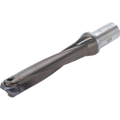 Replaceable Tip Drill: 24 to 24.9 mm Drill Dia, 123.7 mm Max Depth, 32 mm Weldon Flat Shank Uses SMP & SMF Inserts, 218.7 mm OAL, Through Coolant