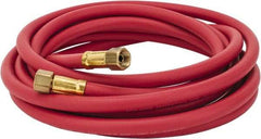 Coilhose Pneumatics - Paint Sprayer Hose with Fittings - Makers Industrial Supply