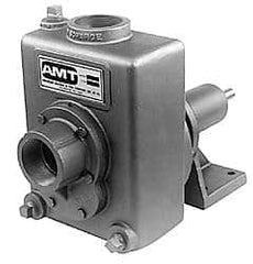 American Machine & Tool - 2 Inch Outlet, Cast Iron, Pedestal Mount Pump - F.G. Casing Seal, Pedestal Pump - Makers Industrial Supply