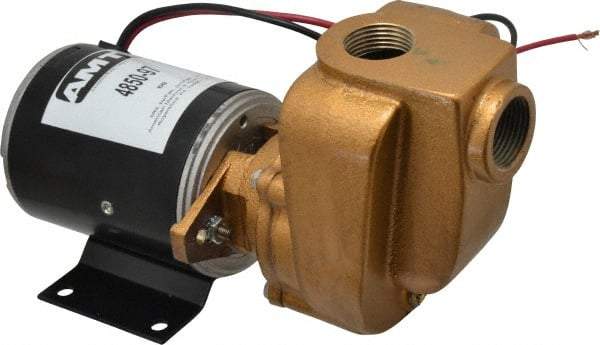 American Machine & Tool - 12 Volt, 1/8 hp, 3/4 Inlet, Bronze Utility Pump - 14 Max Head Pressure, 3/4 Inch Outlet - Makers Industrial Supply