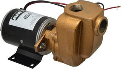 American Machine & Tool - 12 Volt, 1/8 hp, 3/4 Inlet, Bronze Utility Pump - 14 Max Head Pressure, 3/4 Inch Outlet - Makers Industrial Supply