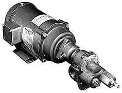 Pentair - 17-1/2 Inch Long, Close Coupled-Mount Gear Close Coupled Mount Gear Pump - ODP, 7 Max GPM - Makers Industrial Supply