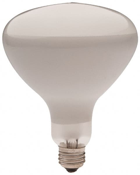 Philips - 300 Watt Incandescent Flood/Spot Medium Screw Lamp - 2,700°K Color Temp, 2,960 Lumens, 12 Volts, Dimmable, R40, 2,000 hr Avg Life - Makers Industrial Supply