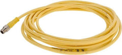 Brad Harrison - 4 Amp, M8 Male Straight to Pigtail Cordset Sensor and Receptacle - 60 VAC, 75 VDC, 4m Cable Length, IP68 Ingress Rating - Makers Industrial Supply