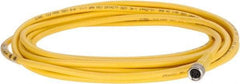 Brad Harrison - 3 Amp, M8 Female Straight to Pigtail Cordset Sensor and Receptacle - 60 VAC, 75 VDC, 4m Cable Length, IP68 Ingress Rating - Makers Industrial Supply