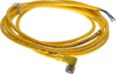 Brad Harrison - 3 Amp, M8 Female 90° to Pigtail Cordset Sensor and Receptacle - 60 VAC, 75 VDC, 2m Cable Length, IP67 Ingress Rating - Makers Industrial Supply