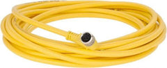 Brad Harrison - 3 Amp, M8 Female 90° to Pigtail Cordset Sensor and Receptacle - 60 VAC, 75 VDC, 5m Cable Length, IP67 Ingress Rating - Makers Industrial Supply