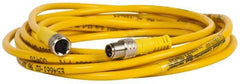 Brad Harrison - 4 Amp, M8 Male Straight to Female Straight Cordset Sensor and Receptacle - 60 VAC, 75 VDC, 4m Cable Length, IP68 Ingress Rating - Makers Industrial Supply