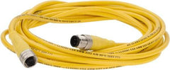 Brad Harrison - 4 Amp, M12 Male Straight to Female Straight Cordset Sensor and Receptacle - 250 VAC/VDC, 4m Cable Length, IP67 Ingress Rating - Makers Industrial Supply