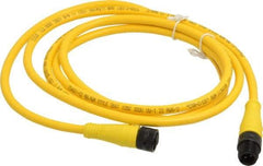 Brad Harrison - Female to Male Cordset Sensor and Receptacle - 250 VAC/VDC, 6 Ft. Long Cable, IP68 Ingress Rating - Makers Industrial Supply