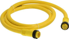 Brad Harrison - 7 Amp, Female Straight, Male Straight Cordset Sensor and Receptacle - 600 Volt, 1.83m Cable Length, IP67 Ingress Rating - Makers Industrial Supply