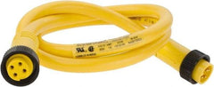 Brad Harrison - 10 Amp, Female Straight, Male Straight Cordset Sensor and Receptacle - 600 Volt, 0.91m Cable Length, IP67 Ingress Rating - Makers Industrial Supply