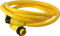 Brad Harrison - 10 Amp, Female Straight, Male Straight Cordset Sensor and Receptacle - 600 Volt, 1.83m Cable Length, IP67 Ingress Rating - Makers Industrial Supply