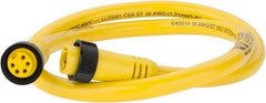 Brad Harrison - 8 Amp, Female Straight, Male Straight Cordset Sensor and Receptacle - 600 Volt, 0.91m Cable Length, IP67 Ingress Rating - Makers Industrial Supply