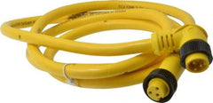 Brad Harrison - 13 Amp, Female 90° to Male 90° Cordset Sensor and Receptacle - 600 VAC/VDC, 6 Ft. Long Cable, IP68 Ingress Rating - Makers Industrial Supply