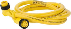 Brad Harrison - 8 Amp, Female 90° to Male 90° Cordset Sensor and Receptacle - 600 VAC/VDC, 6 Ft. Long Cable, IP68 Ingress Rating - Makers Industrial Supply