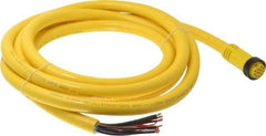 Brad Harrison - 5 Amp, Female Straight to Pigtail Cordset Sensor and Receptacle - 600 Volt, 3.66m Cable Length, IP67 Ingress Rating - Makers Industrial Supply